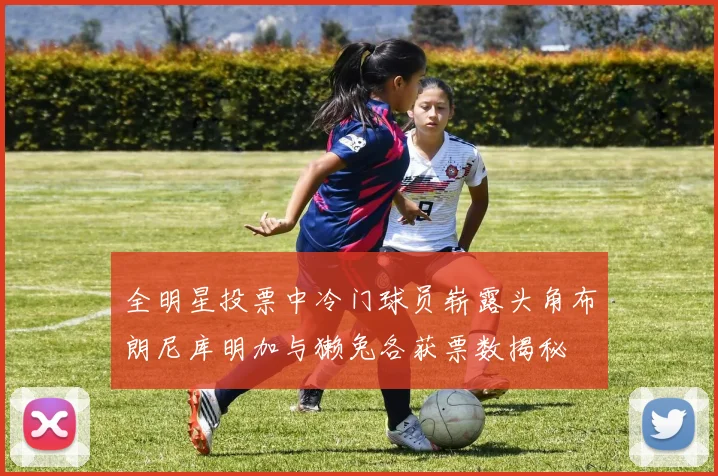 全明星投票中冷门球员崭露头角布朗尼库明加与獭兔各获票数揭秘